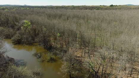 Sendero-De-Agua-Del-Lago-Cubierto-De-Hierba-A-Través-De-Densos-Matorrales-De-árboles-Cerca-De-Mayflower-En-Arkansas