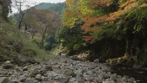 Drone-Aéreo-Vuela-Bajo-En-El-Paisaje-Del-Valle-De-Piedra-Bosque-De-Otoño-Flujo-De-Agua-Lento-Paisaje-Meditativo-Zen,-Tranquilo-Escenario-Japonés-Kyoto-Japón