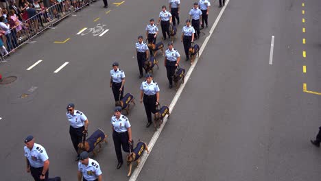 Hundeführer-Gehen-Mit-Einem-Militärischen-Arbeitshund-Der-Luftwaffe-Die-Straße-Entlang-Während-Der-Anzac-Day-Parade-In-Der-Stadt-Brisbane