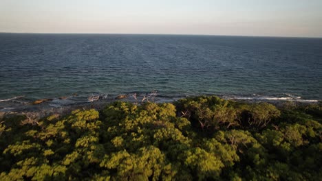 Toma-Aérea-Sobre-Un-Bosque-De-Manglares-Con-Un-Vistazo-De-Un-Arrecife-De-Coral-Y-El-Mar-Caribe,-La-Luz-Del-Sol.