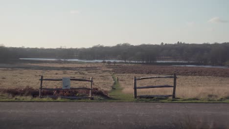 A-pathway-leading-to-a-vast-landscape-on-a-bright-cold-winter-afternoon-in-Richmond-Park,-United-Kingdom