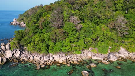 Seychelles-beach-palm-trees-smooth-rocks