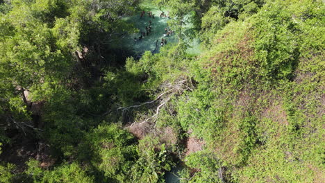 Aerial-flyover-Arroyo-Salado-lagoon-in-jungle-during-sunny-day