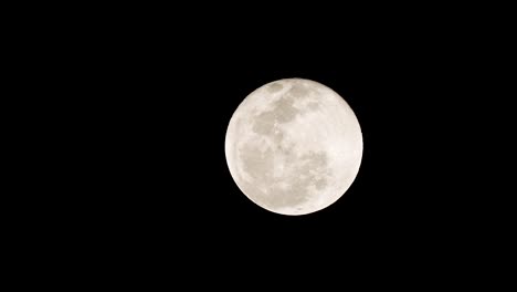 Toma-De-Luna-Llena-Con-Silueta-De-Pequeño-Murciélago-Volando