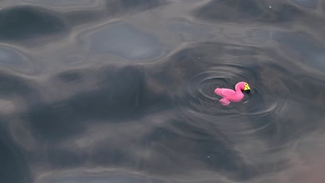 Ein-Stofftier-Für-Kinder,-Das-Auf-Der-Meeresoberfläche-Schwimmt-Und-Sicherheitskonzepte-Für-Kinder-Vermittelt