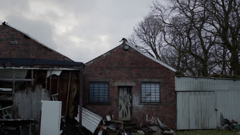 Cat-on-roof-of-abandoned-house-with-trash-around,-handheld-wide