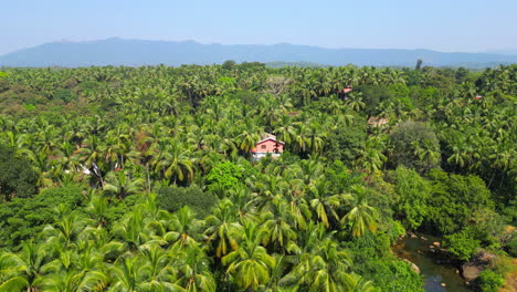 Luftaufnahme-Eines-Traditionellen-Hauses-Inmitten-Von-Palmen,-Talpona-Beach,-Goa,-Indien,-Drohne,-4k