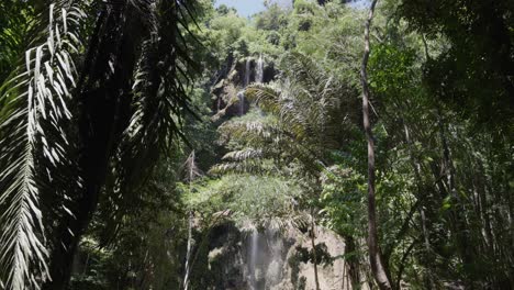 Close-up-view-through-the-dense-rainforest-of-the-Tumalog-waterfall-in-Cebu,-Philippines