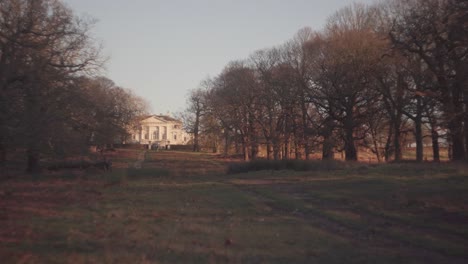 A-wooded-forest-and-a-large-house-at-the-end-of-the-pathway-on-a-bright-cold-winter-afternoon-in-Richmond-Park,-United-Kingdom