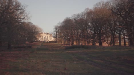 Ein-Bewaldeter-Wald-Und-Ein-Großes-Haus-Am-Ende-Des-Weges-An-Einem-Hellen,-Kalten-Winternachmittag-Im-Richmond-Park,-Großbritannien