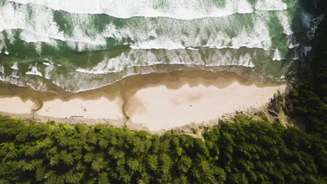 Quick-push-in-to-remote,-deserted-beach-lined-with-evergreen-trees,-Oregon-Coast