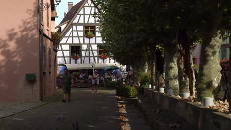 Ahornbäume-In-Der-Schönen-Stadt-Bergheim-In-Ostfrankreich-Mit-Touristen-Zu-Fuß