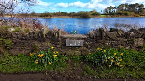 Memorial-Del-Pescador-En-Su-Lugar-De-Pesca-Favorito-En-El-Lago-En-Waterford,-Irlanda