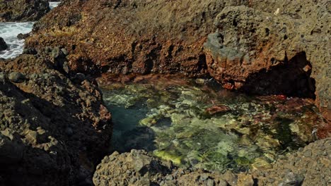 Rising-tide-water-over-rocky-coastline-of-Tenerife,-motion-view