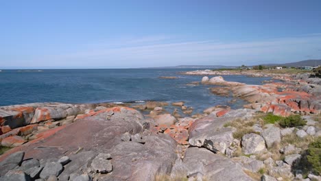 Bay-of-Fires-coastline-with-orange-granite-boulders-and-blue-ocean-in-Tasmania,-Australia