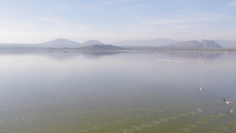 Flamencos-En-Un-Lago-Disparo-Aéreo-Con-Drones-Kenia