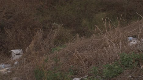 Arrojó-Basura-Al-Lado-De-Una-Carretera-Rural,-Cuestiones-Ambientales,-Problema-De-Basura