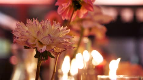 Rosa-Blumen-Vor-Dem-Hintergrund-Brennender-Kerzen-Als-Tischdekorationselement