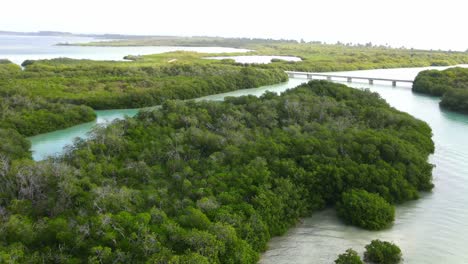 Exploring-Sian-Ka'an-Biosphere-in-the-Riviera-Maya,-one-of-the-most-important-reserves-in-Mexico