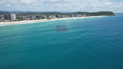 Palm-Beach-In-The-City-Of-Gold-Coast,-Queensland,-Australia---Aerial-Shot