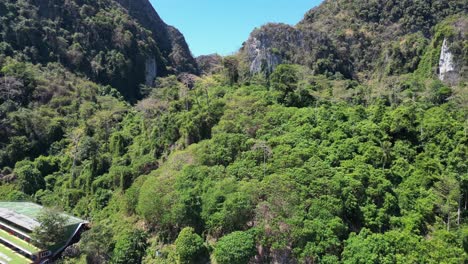 Urzeitlicher-Dschungel-Hügel-Insel-Phi-Phi-Island