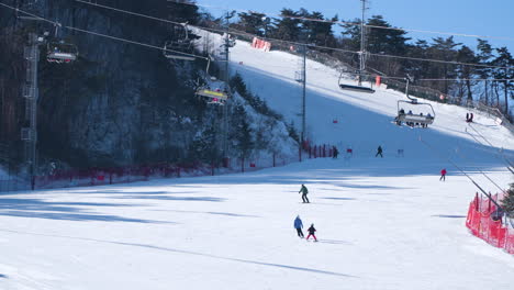 Koreaner-Fahren-Im-Skigebiet-Alpensia-Ski-Auf-Schneepisten-Oder-Auf-Der-Piste