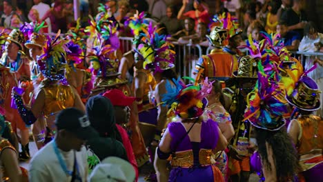 Vista-Trasera-De-Una-Mujer-Besándose-Y-Sonriendo-Durante-El-Desfile-De-Carnaval-Por-La-Noche.