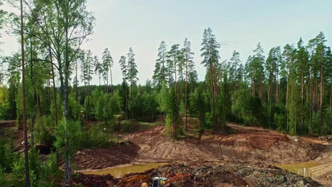 Bagger-Räumt-Ein-Gelände-Im-Wald-Für-Den-Bau-Eines-Luxus-Cottages-Frei