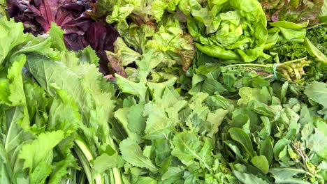 Hojas-De-Ensalada-Orgánicas-Frescas-Y-Hierbas-Verdes-A-La-Venta-En-Un-Mercado-Local-De-Agricultores-En-Marbella,-España,-Bioverduras-Saludables,-Toma-De-4k