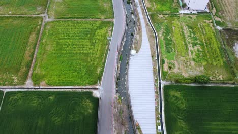 Aerial-shot-of-a-rural-landscape-with-green-fields-and-a-small-road,-bright-daylight