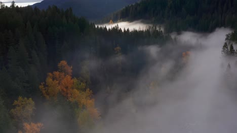 Immersive-journey-over-a-river-bank-covered-by-morning-mist-in-Washington-State-in-Autumn