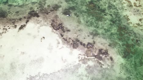 Aerial-view-tilt-up-reveal-stunning-wetlands-in-los-Roques-Archipelago,-National-Park