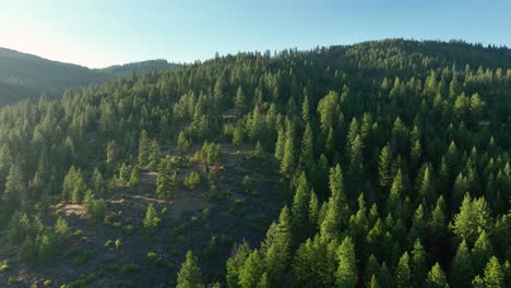 Drohnenaufnahme-Von-Holzgerodeten-Hügeln-In-Idaho