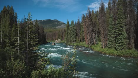 Der-Fluss-Schneidet-Durch-Den-üppigen-Grünen-Wald,-Sein-Wasser-Fließt-Stetig,-Während-Er-An-Hohen-Bäumen-Und-Unterholz-Vorbei-Schlängelt