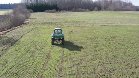 Farmer-spread-granular-fertilizer-on-green-wheat-field-with-old-tractor