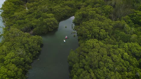 Aerial-view-of-kayakers-along-the-Tweed-River,-Northern-New-South-Wales,-Australia