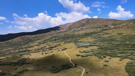 4K-Luftaufnahmen-Von-Drohnen-über-Büschen-Und-Feldern-Am-Guanella-Pass,-Georgetown,-Colorado,-Rocky-Mountains