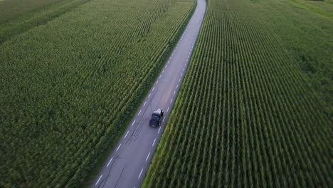 Ein-Schwarzer-Oldtimer-Fährt-Auf-Einer-Straße,-Die-Durch-Ein-Maisfeld-Führt