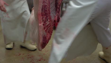 Two-abbatoir-operators-remove-carcass-pig-legs-with-bloodstained-apron