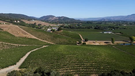 Imágenes-De-Drones-Aéreos-De-4k-Sobre-Una-Bodega-De-Viñedos-En-El-Valle-De-Napa,-California