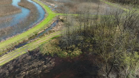 Bell-slough-wildlife-area-with-a-meandering-stream,-early-spring-foliage,-aerial-view