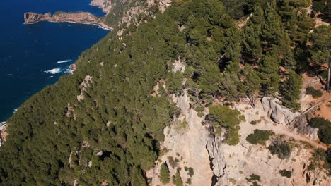 Aerial-view-of-a-lush-forest-coastline-in-Mallorca,-Spain