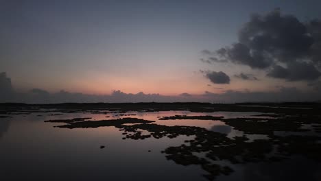 Low-shot-of-evening-water-lily-covered-lake-with-reflected-light-from-sunset