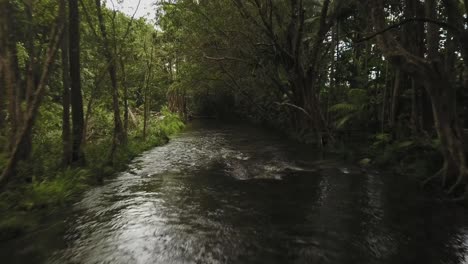 Aerial-flying-down-a-rainforest-stream-in-Queensland,-Australia