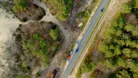 Vertical-drone-footage-of-a-pines-forest-road