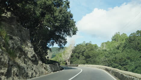 Kurvenreiche-Straße-Durch-üppiges-Grün-In-Der-Landschaft-Mallorcas