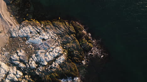 La-Luz-Del-Amanecer-Se-Extiende-Sobre-Una-Gruesa-Capa-De-Rocas-Cubiertas-De-Algas,-Drones