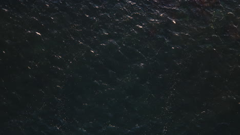 Dark-ocean-water-ripples-catching-sunrise-light-glistening,-nature-background-drone-top-down-static