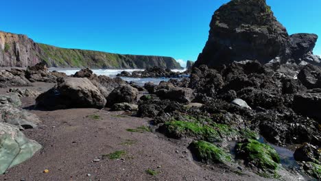 Seascape-seaweed-rocky-beach-and-blue-sky-Ballydwane-Waterford-Ireland