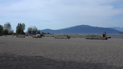 Cometas-Volando-Sobre-La-Playa-De-Locarno-Con-La-Isla-Bowen-Al-Fondo